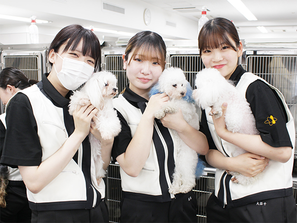 モデル犬の歯みがき！